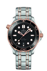 Omega Seamaster 20mm Steel and Rose Gold Bracelet 020DYZ010101 image